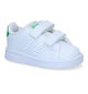 adidas Advantage CF Witte Sneakers voor jongens, meisjes (318956)