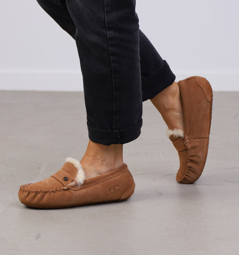 Warmbat Nowra Pantoufles en Cognac pour femmes (315167)