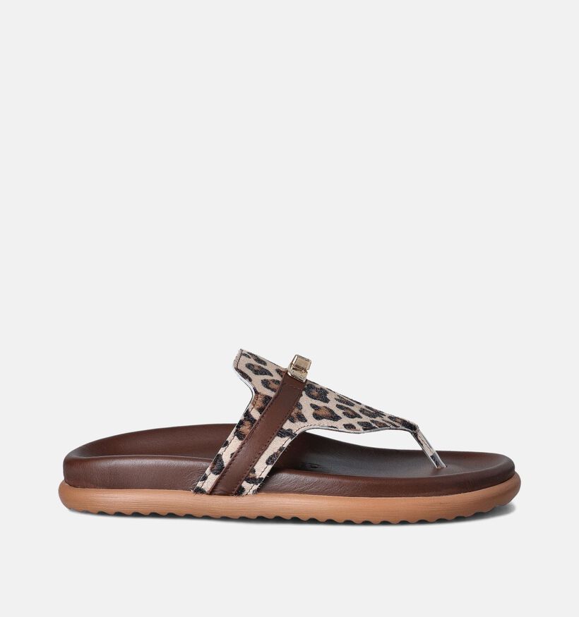 Laurent David Bruine Slippers voor dames (357849)
