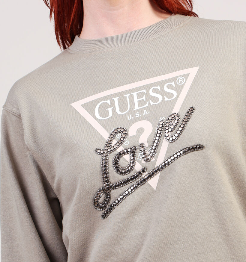 Guess Love Taupe Trui voor dames (361105)