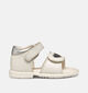 Geox Verred Ecru Babysandalen voor meisjes (356404)