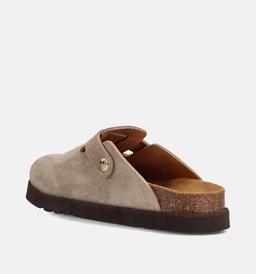 Scholl Benny Beige Gesloten Slippers voor dames (364553)