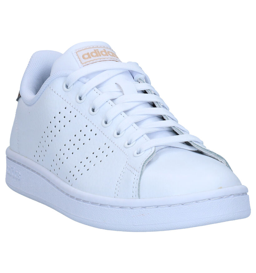 adidas Advantage Baskets en Blanc en cuir (284790)