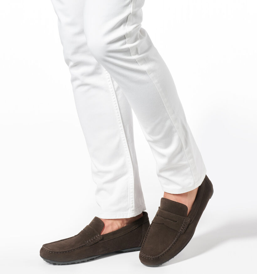Geox Kosmopolis Grip Mocassins en Marron pour hommes (351616)