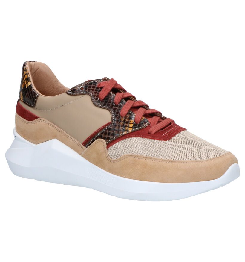 Frida Faith Beige Sneakers in daim (262445)