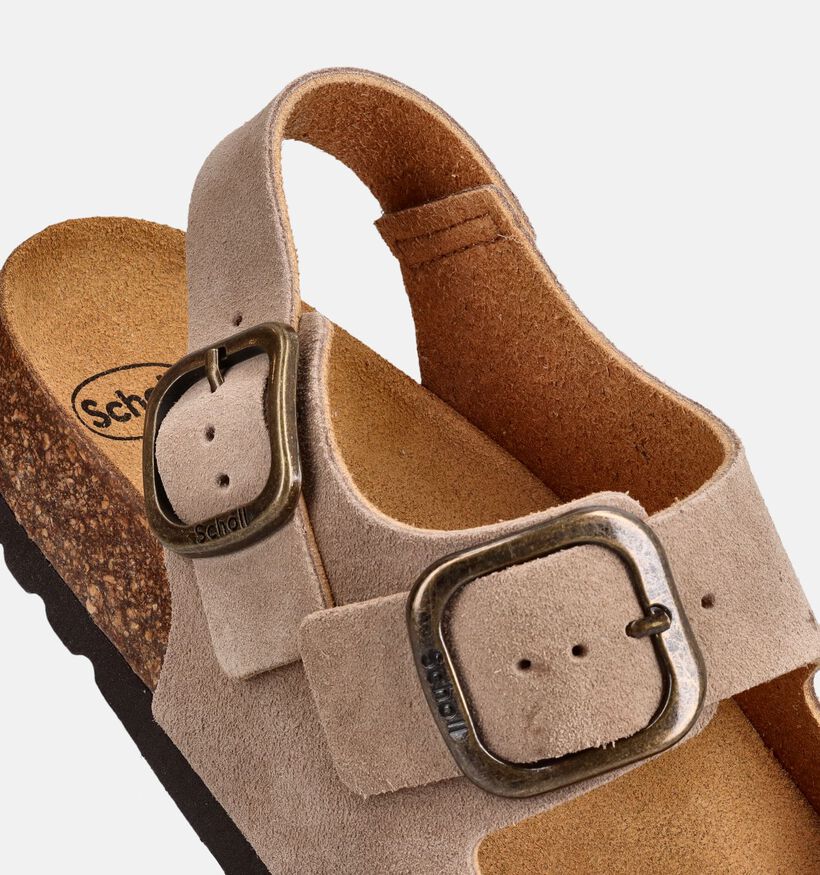 Scholl Noelle Donkerbeige Sandalen voor dames (369843)