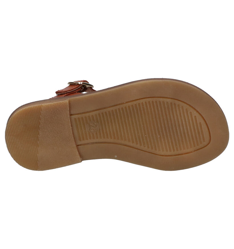 Romagnoli Multikleur Sandalen in leer (269651)