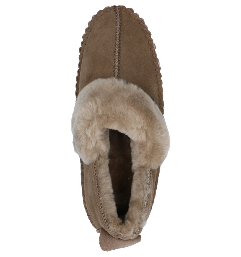 Warmbat Polar Fox Pantoufles en Cognac en daim (261216)