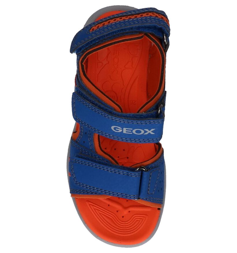 Geox Sandales en Bleu en simili cuir (213170)