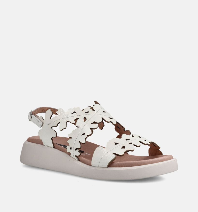 Wonders Sandales plates en Blanc pour femmes (373126)