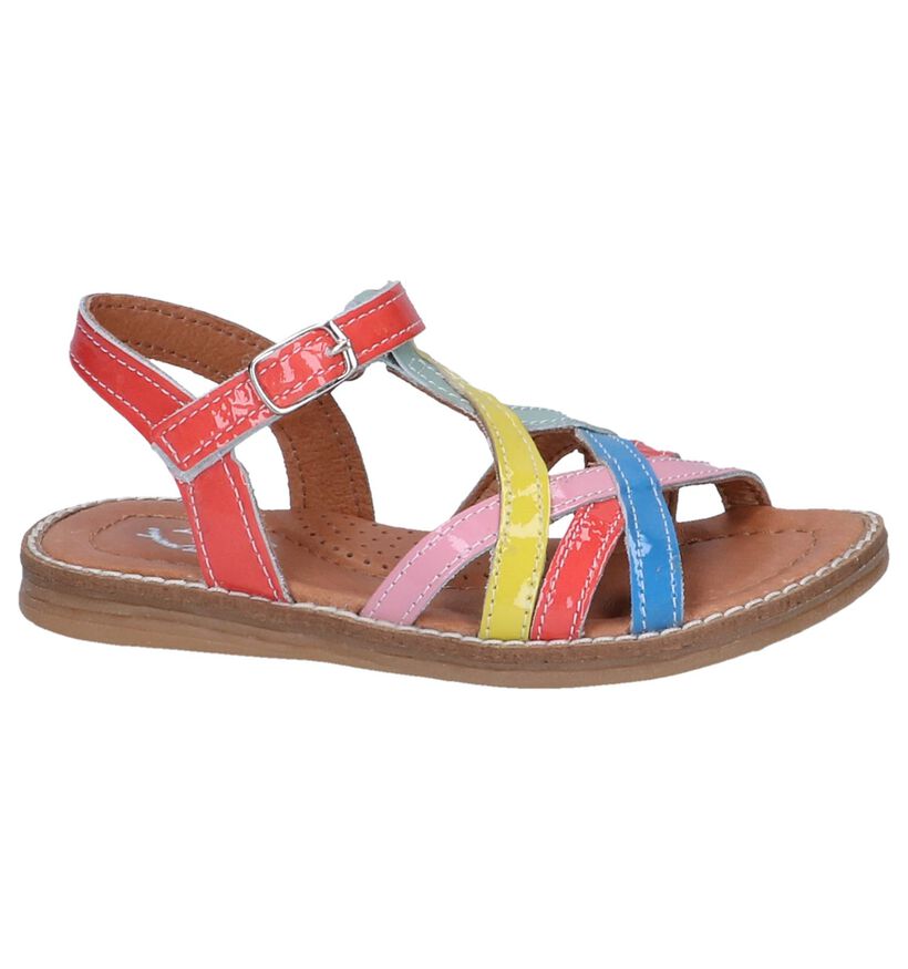 Multicolor Sandalen Little David Rainbow in lakleer (247641)