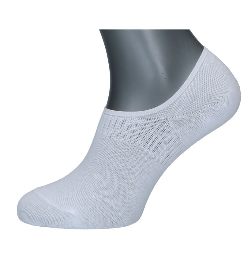Teckel Socks Socquettes en Noir (292393)