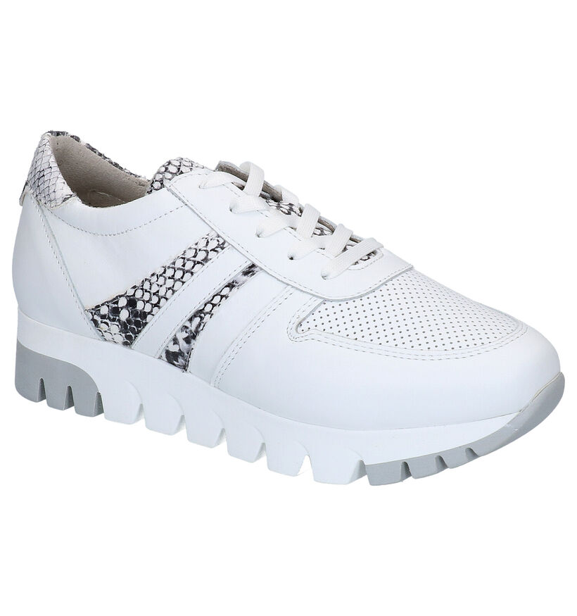 Tamaris Chaussures à lacets en Blanc en cuir (270119)