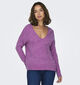 JDY Elanora Paarse Trui met V-hals voor dames (344159)