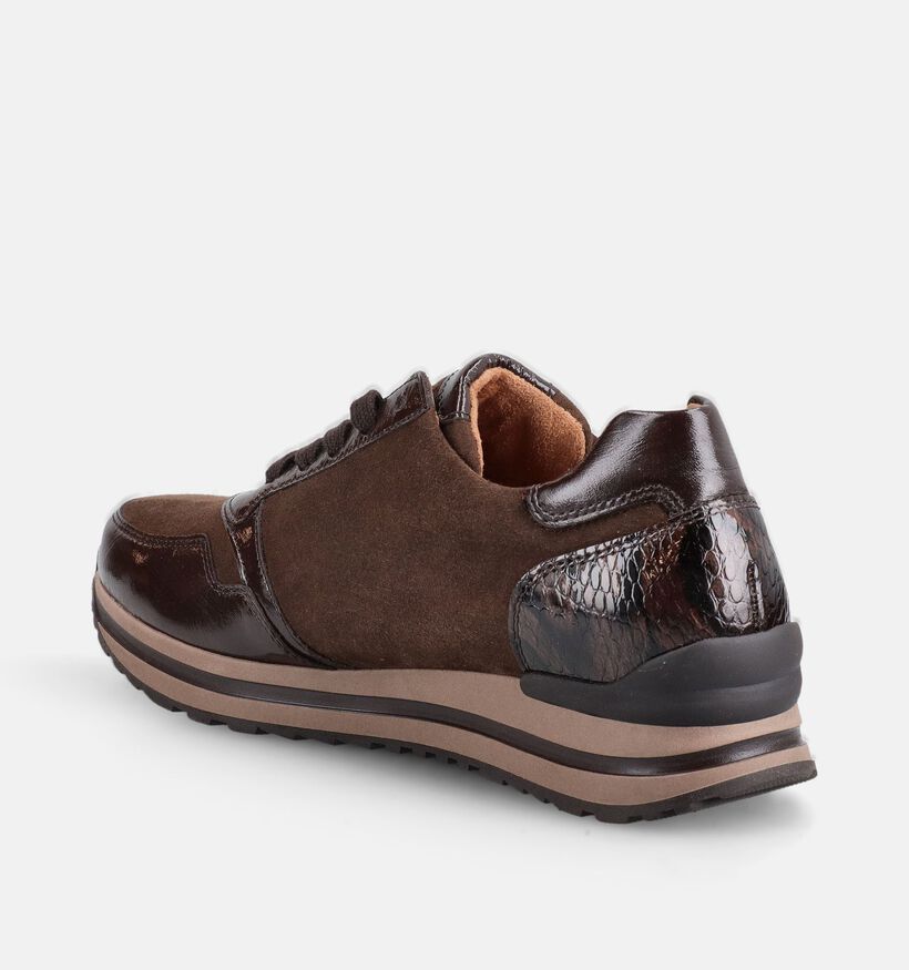 Gabor Comfort Bruine Schoenen met Veter en Rits voor dames (380043) - geschikt voor steunzolen