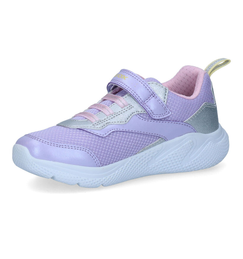 Geox Sprintye Baskets en Violet en synthétique (311010)