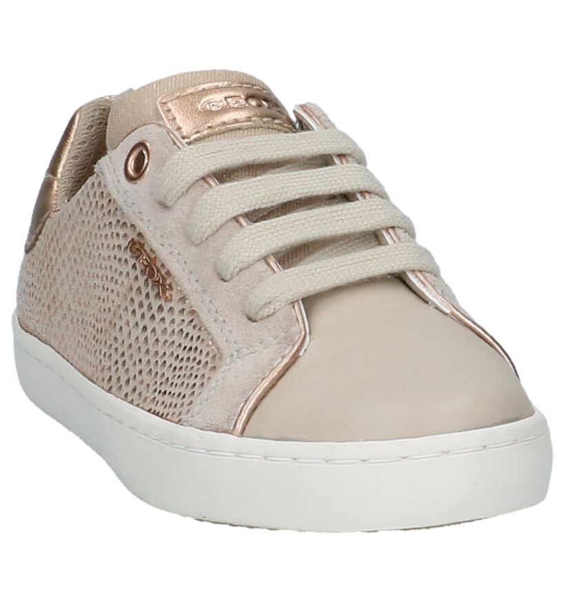 Geox Baskets basses en Beige en cuir (210497)