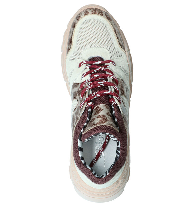 Clue Baskets casual en Multicolore en cuir (262620)
