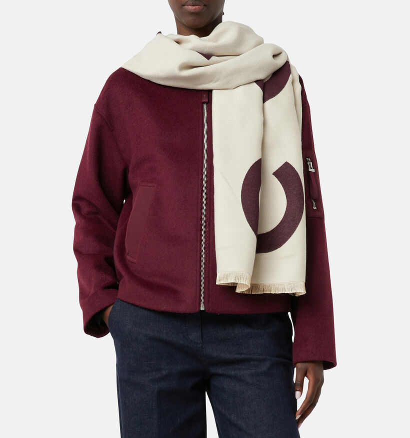 comma Châle en Bordeaux pour femmes (364465)