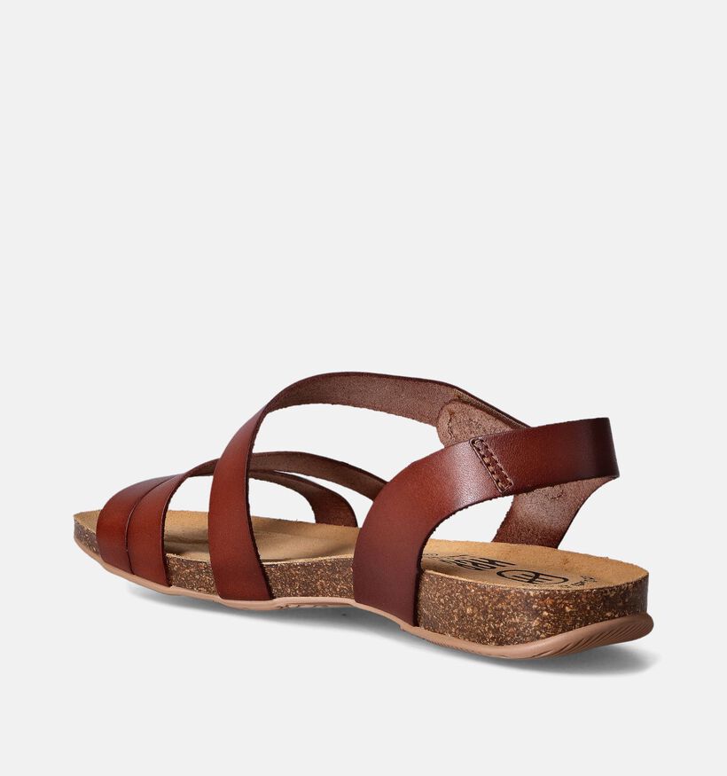 Hee Bruine Sandalen voor dames (354792)