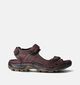 ECCO Offroad Yucatan Bruine Sandalen voor heren (353374)