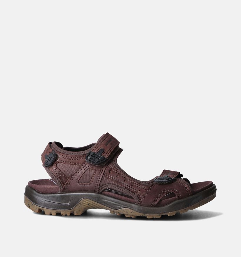 ECCO Offroad Yucatan Bruine Sandalen voor heren (353374)