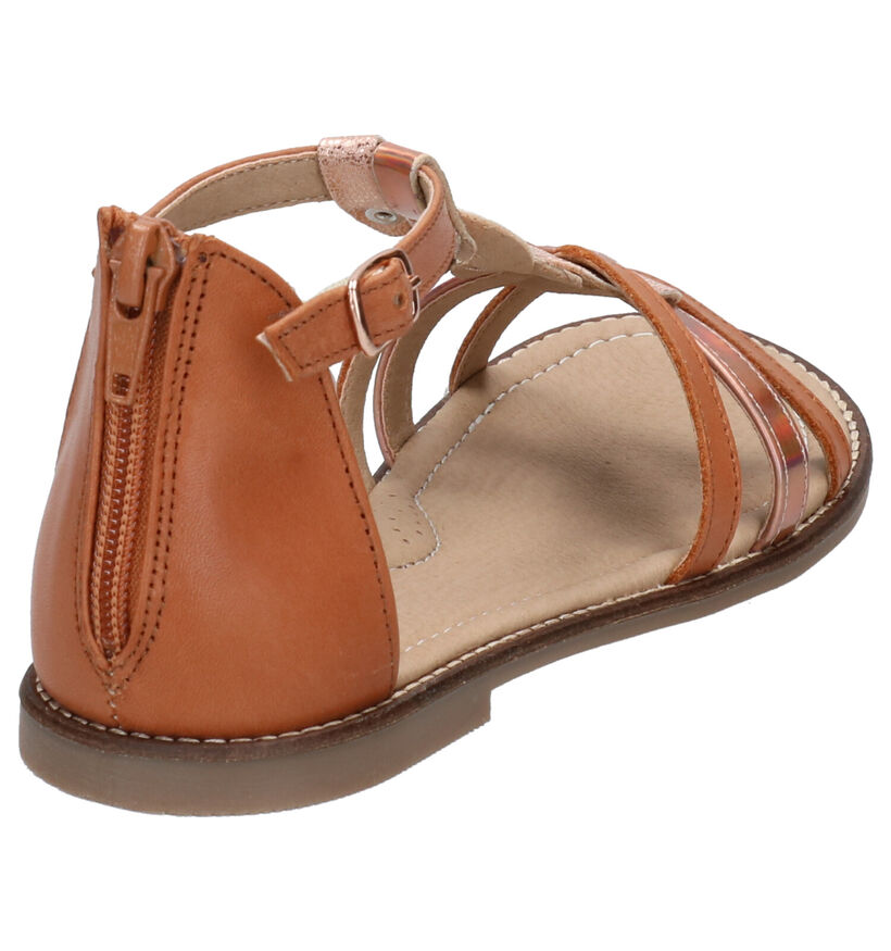 Little David Toledo Sandales en Cognac en cuir (273137)