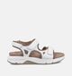 Gabor Witte Sandalen voor Steunzolen voor dames (368400) - geschikt voor steunzolen