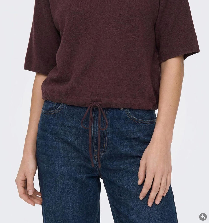 ONLY Carmakoma Siteri Pull en Bordeaux pour femmes (378385)
