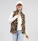 Dolce C. Bruine Fluffy Bodywarmer voor dames (358611)