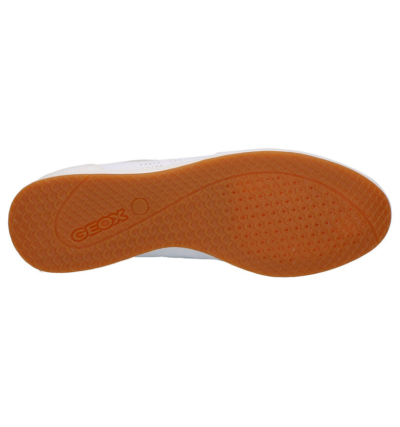 Geox Chaussures à lacets en Blanc en cuir (266845)