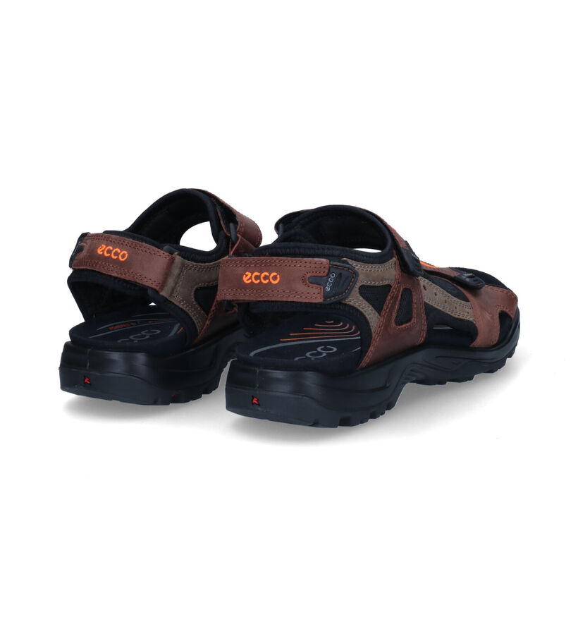 ECCO Yucatan Sandales en Taupe pour hommes (306675)