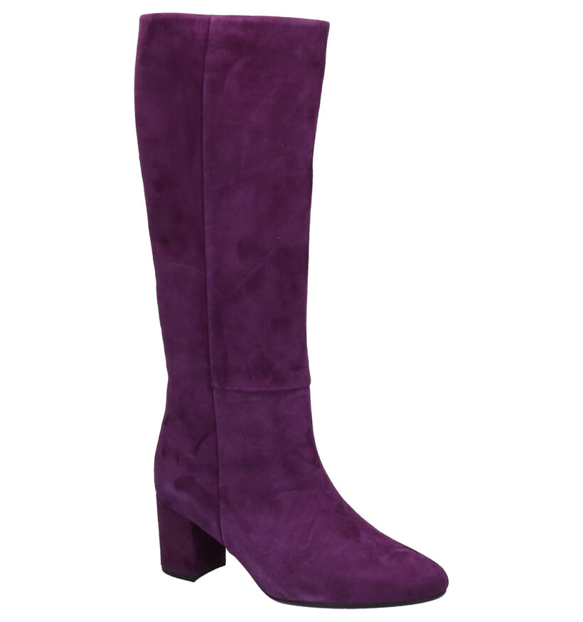 Gabor Bottes en Violet foncé en daim (260155)