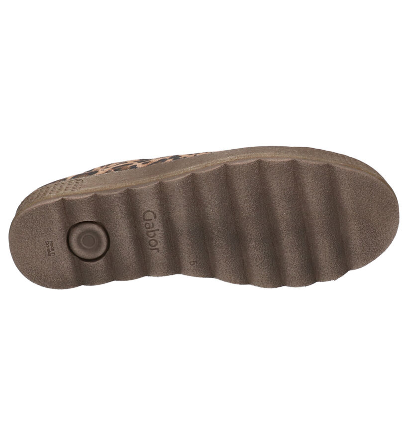 Gabor Comfort Chaussures à lacets en Marron en daim (260097)