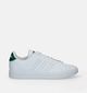 adidas Advantage 2.0 Baskets en Blanc pour hommes, garçons (343233)