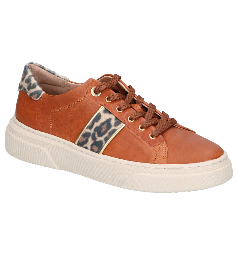 River Woods Cognac Veterschoenen in leer (260285)