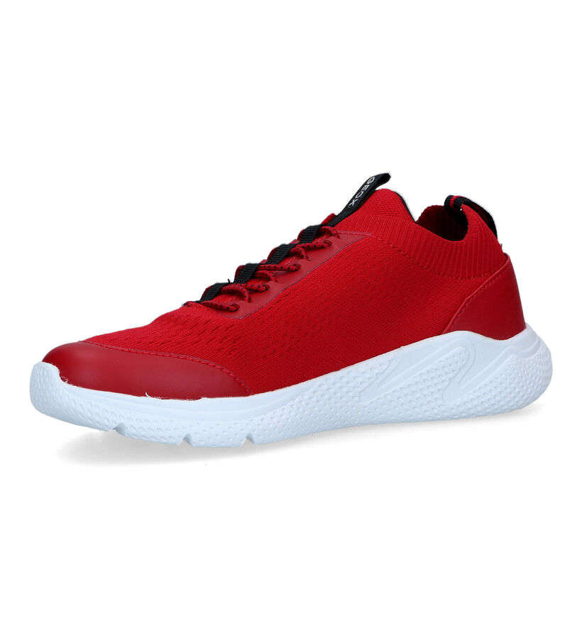 Geox Sprintye Blauwe Sneakers voor jongens (339641)