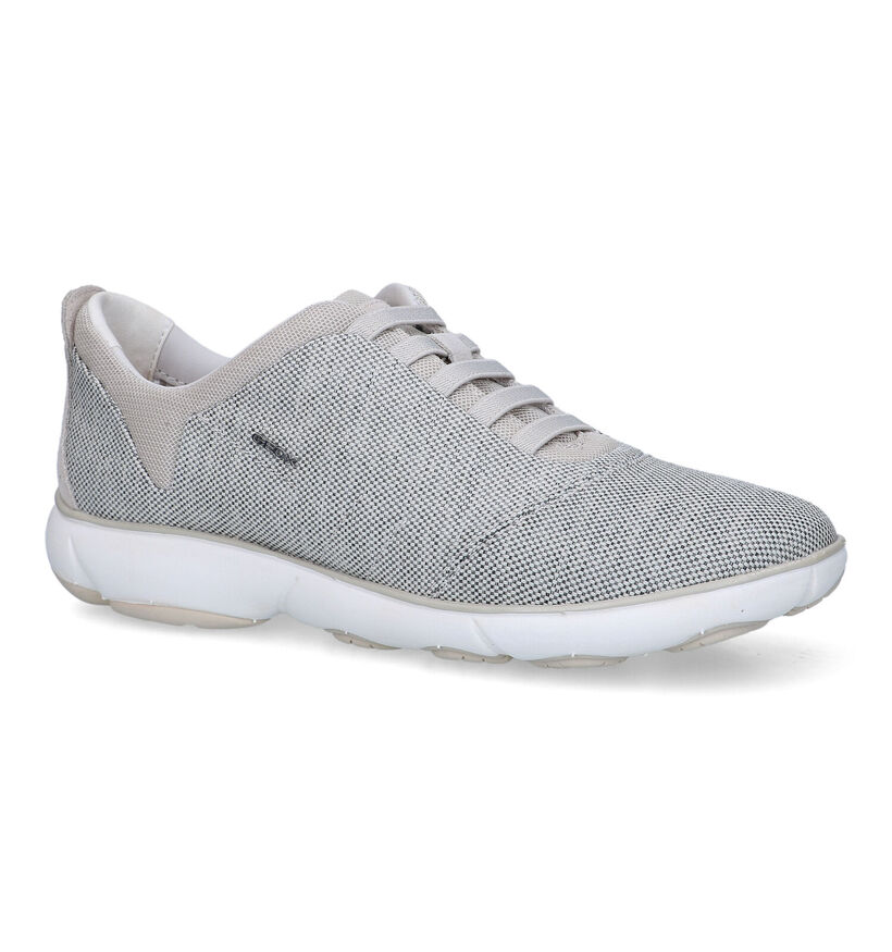 Geox Nebula Baskets en Bleu en textile (326692)
