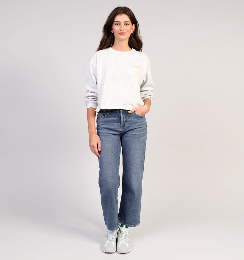 Vila Minna Grijze Sweater voor dames (353041)