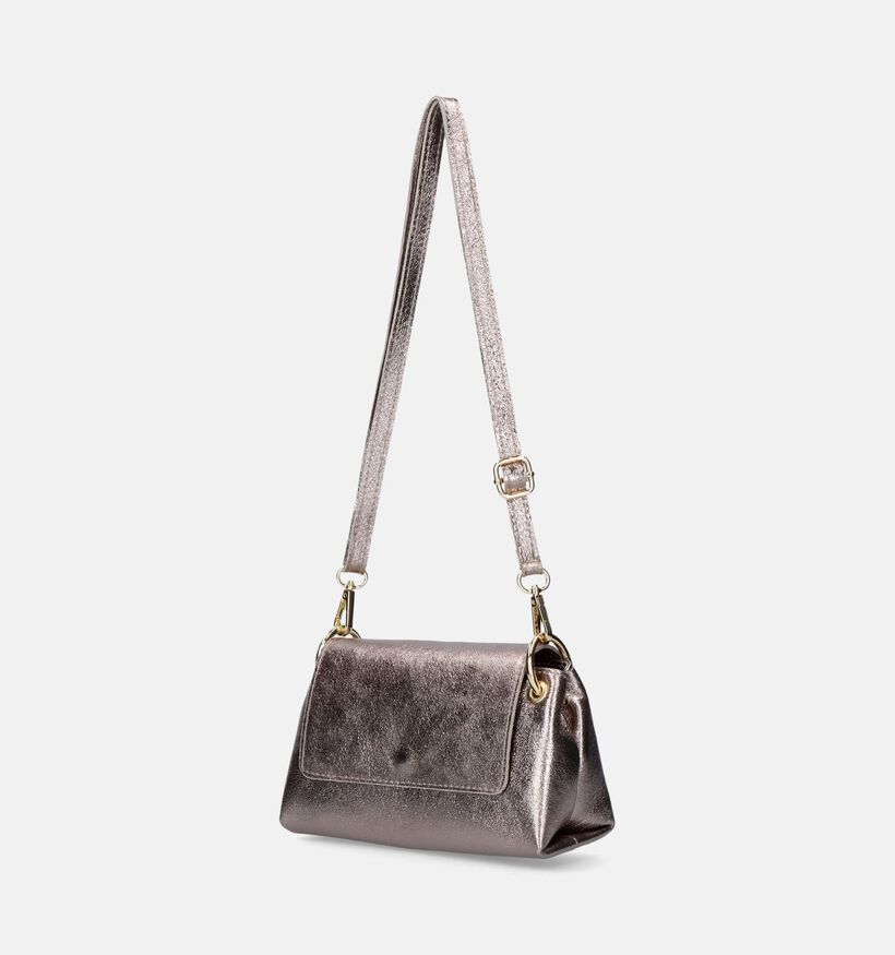 Charm London Sac porté croisé en Bronze pour femmes (349475)