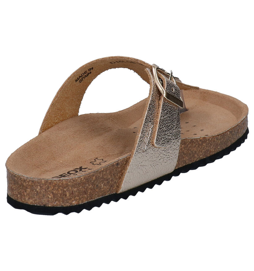 Geox Brionia Goude Teenslippers in leer (301732)