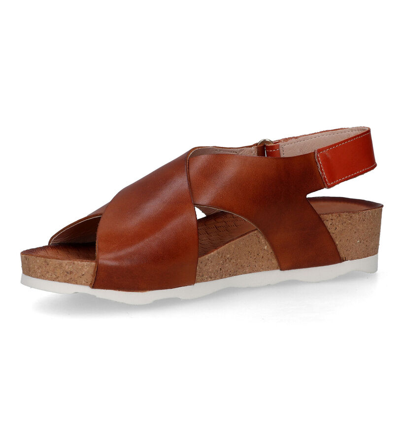 Pikolinos Mahon Sandales en Cognac pour femmes (323306)