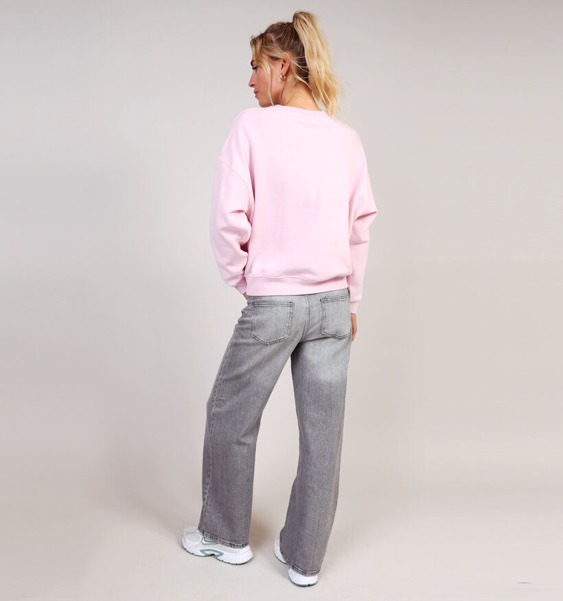 JDY Mesa Paris Roze Sweater voor dames (365962)