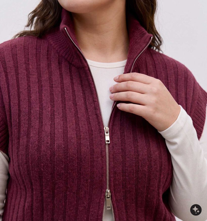 Vero Moda Curve Bang Rib Highneck Bordeaux Vest voor dames (378113)