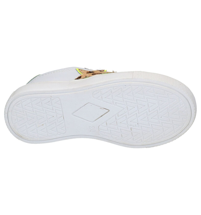 Braqeez Baskets basses en Blanc en cuir (275291)