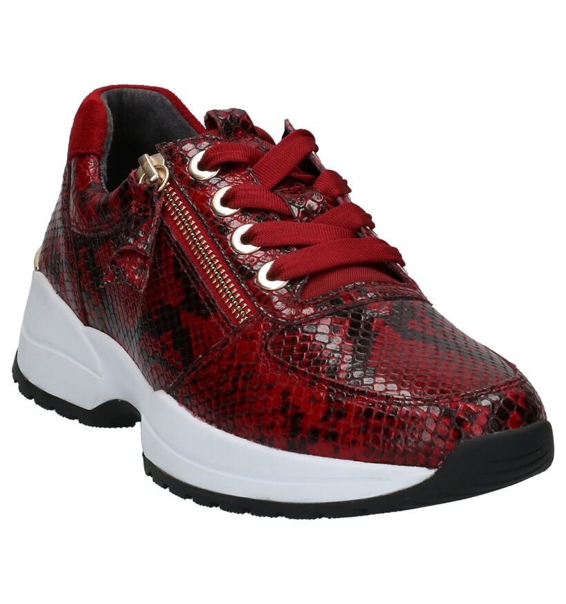 Gabor OptiFit Chaussures basses en Rouge en cuir (260105)