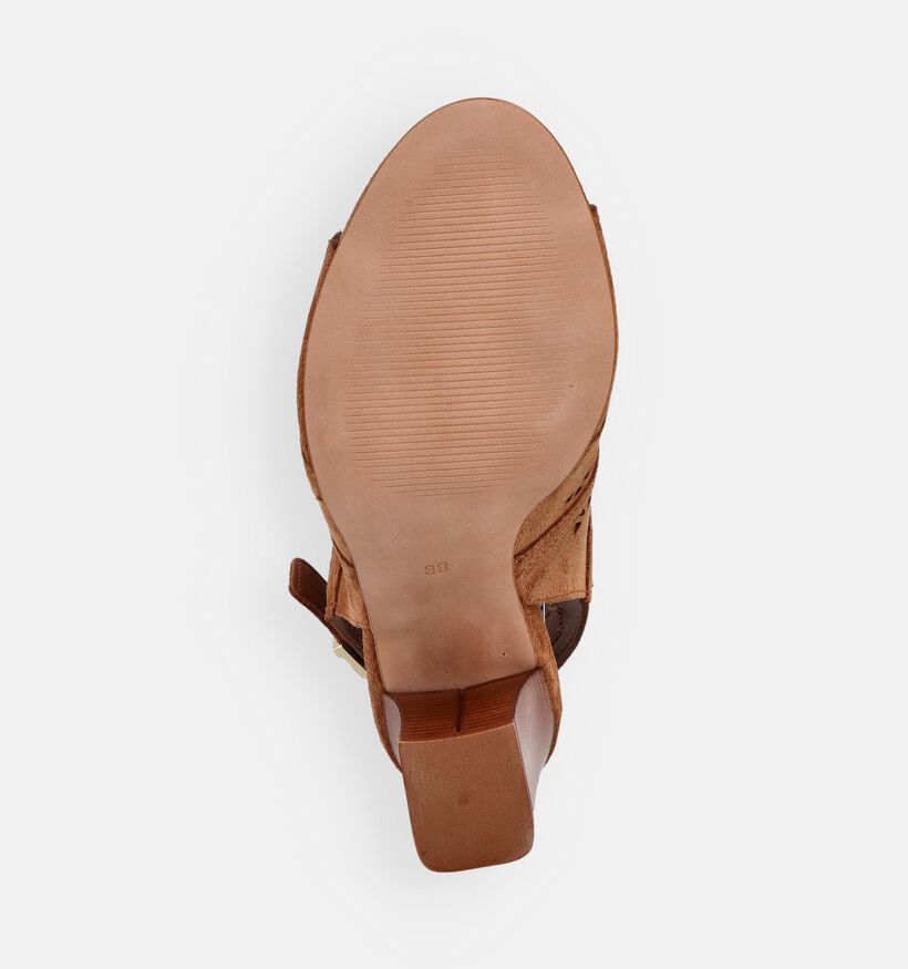 Laurant David Cognac Sandalen met blokhak voor dames (357834)