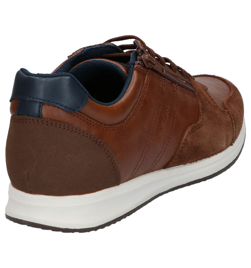 Geox Blauwe Lage Schoenen in daim (266687)