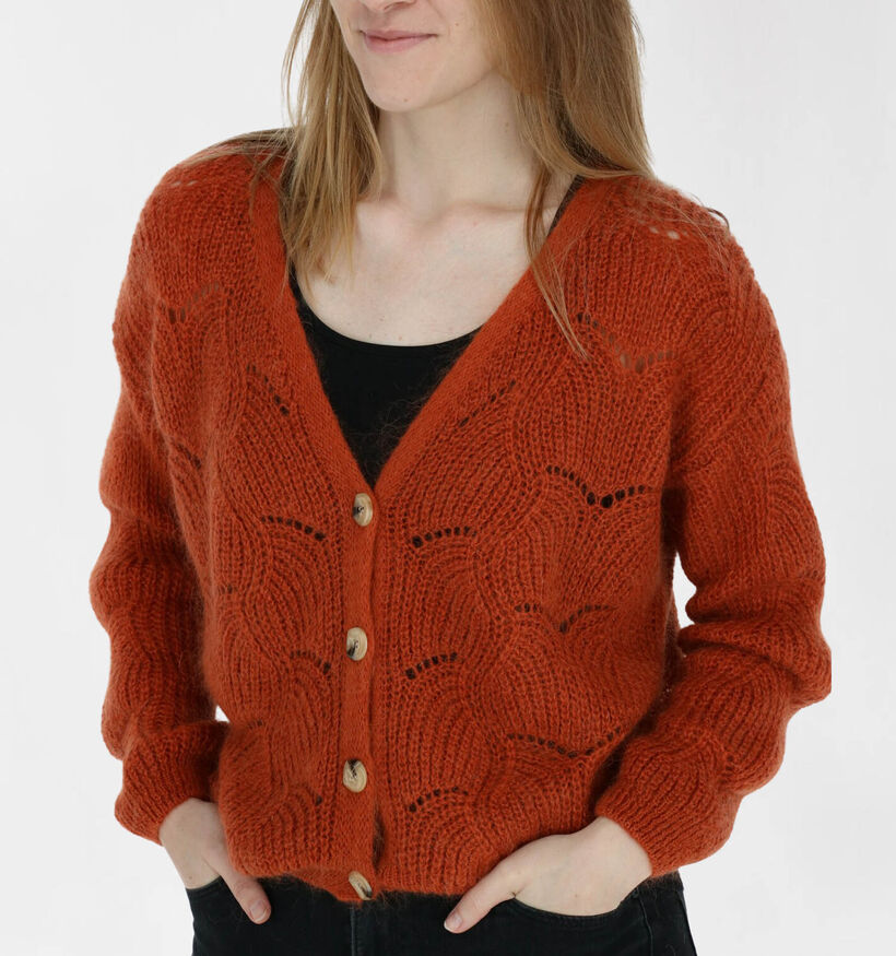 Dolce C. Gilet en Fuchsia (290088)