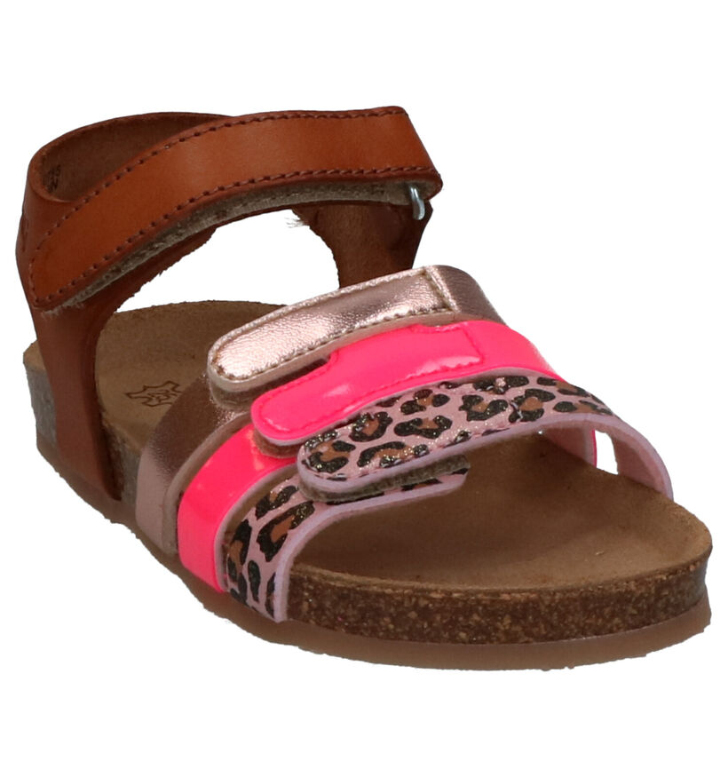 Cognac Sandalen Kipling Norma in kunstleer (273163)